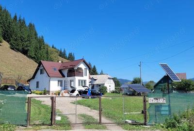 Vila+ teren de 2,2ha la 5 km de Vatra Dornei - 10