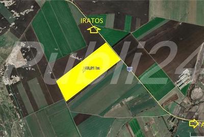 53,60 ha teren la soseaua Arad- Iratos - 2