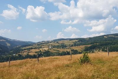 Teren Construcții extravilan de 7200 mp, în Arieșeni - 4