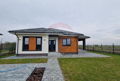 Casă individuală cu 3 camere în Ciocănești