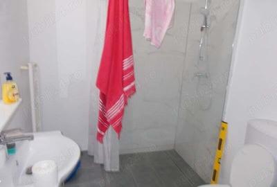 Casa, Sanandrei, 2 camere, teren 1340mp, gradina pomi, asfalt, utilitati, centrala gaz - 10