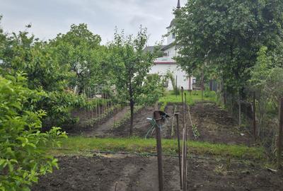 Casă cu 3 camere în Central - 3