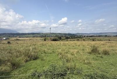 Teren intravilan 500 mp - Tohanul Nou - 4