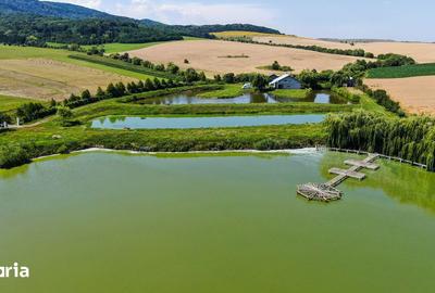 Teren de 31500 mp, în Negrești - 6
