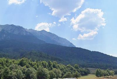 Spațiu comercial, în Plaiul Foii