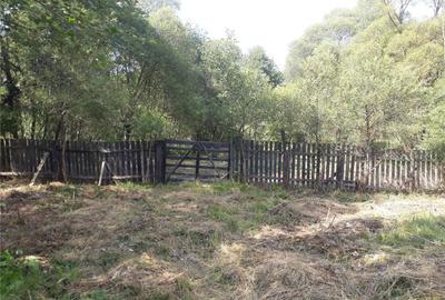 Casă cu 6 camere cu Teren 4043 Mp în Șaru Dornei - 6