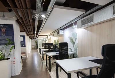 Kiseleff-Piata 1Mai subsol si Parter amenajat si utilat - 12