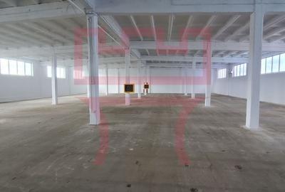 Spațiu industrial, 210 mp în Someșeni - 7
