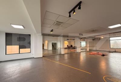 Spațiu comercial, de 334 mp, în Calea Severinului - 4