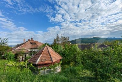 Conac boieresc, 4ha de teren si cladire pretabila pentru Agropensiune, zona Șard - 4