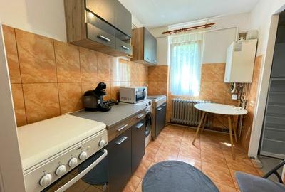 Apartament cu 2 camere semidecomandat, mobilat în Tătărași - 8