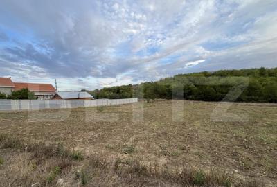 Teren in Filiasi 1000 mp / 30 ml front, toate utilitatile - 1