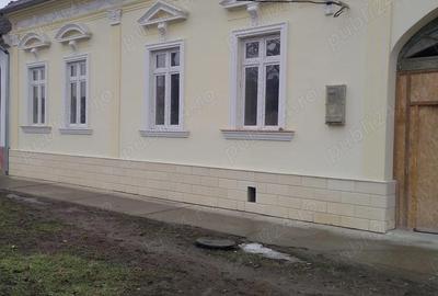 Spațiu comercial, de 100 mp, în Cărpiniș - 9
