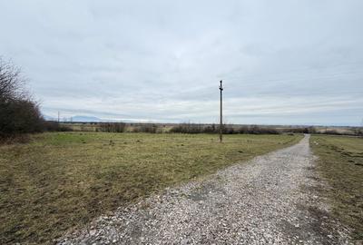 Teren extravilan 1500 mp de vânzare în Teliu – zonă liniștită - 4