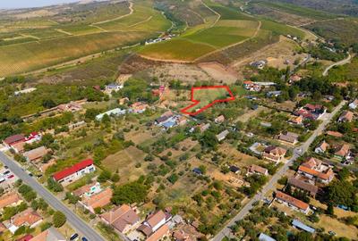 Mini?- destina?ia ideala pentru o resedin?a de lux ?... - 1