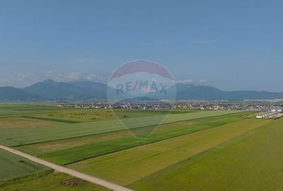 Teren 42,000mp Tarlungeni / Strada Izvor - 3