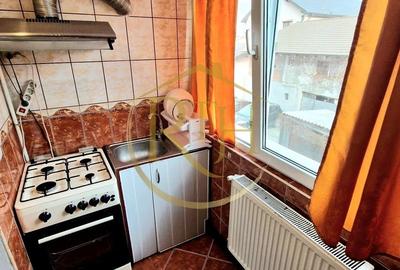Ofer spre închiriere apartament 3 camere,2 bai, zona Lipovei, 400 euro/lună. - 14