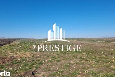 Teren de 417 mp, în Câineni - 1
