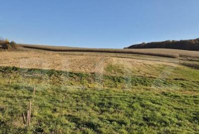 Proprietate de vanzare in Bardesti cu 1900 mp teren - 2