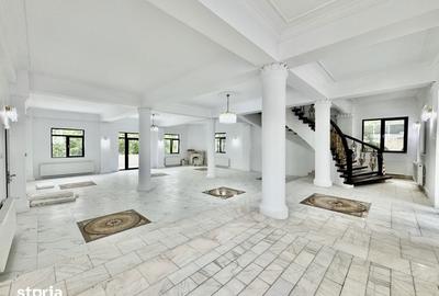 Spațiu comercial, de 1,000 mp, în Moara de Vânt - 9