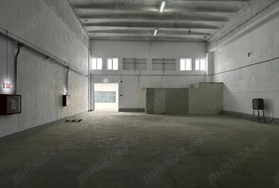 Inchiriez depozite,hale cu rampa ?i zone de incarcare-descarcare AUTORIZATE ISU, ZONA CENTRALA - 2