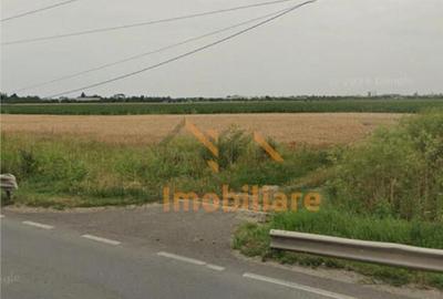 TEREN INTRAVILAN INVESTITIE 20.500 MP ARAD - 3