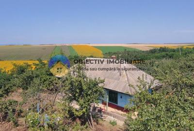Teren de vanzare - Margineni 5920 mp - 11