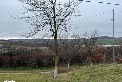 Teren de 500 mp, în Hidiș - 6