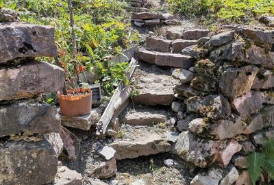 Vanzare casa si teren loca?ie de vis sta?iunea Moneasa - 2