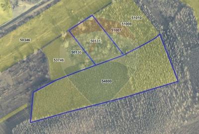 Teren / Padure 8ha Lunca Siretului. - 1