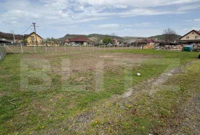 Teren intravilan de vanzare, 800 mp, zona Unirea - 4