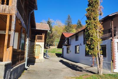 Casă cu 2 camere în Scorțeni - 7