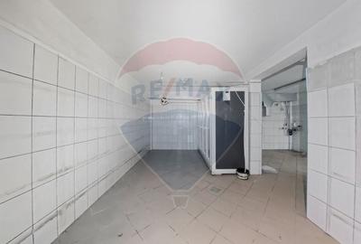 Cladire individuala 243 mp de inchiriat pe strada Mioritei - 9