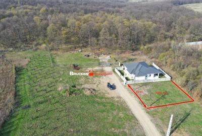 LOC DE CASA LANGA PADURE - 4