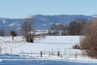 Teren de 7024 mp, în Ciucea - 3