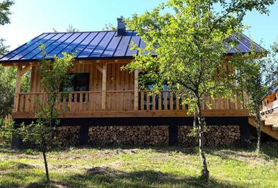 Cabana de vis in Nucsoara - Arges - 69.000 Euro! - 2