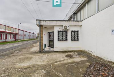 Hală cu teren intravilan de 3500 mp, în Sebiș Arad - 10