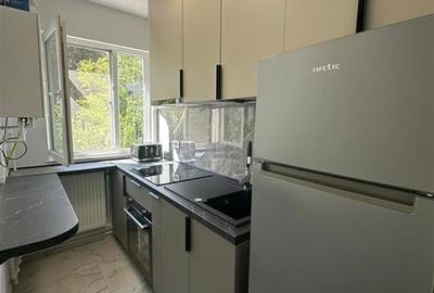 Inchiriere  Apartament cu 2 camere Alexandru cel Bun - 9