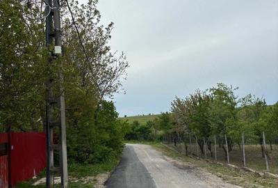 Teren de 570 mp, în Petrăchioaia - 3