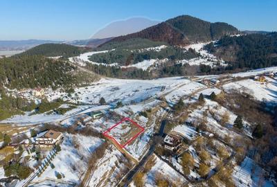 Teren Construcții intravilan de 850 mp, în Turcheș - 14