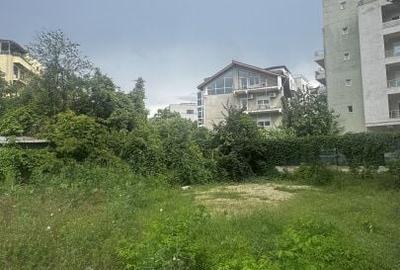 Spațiu comercial, în Herăstrău