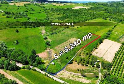 Teren agricol extravilan de 5240 mp, în Berchezoaia - 5