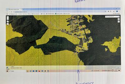 Teren agricol extravilan de 39.5 mp, în Măneciu - 6