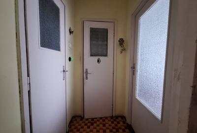 Apartament cu 2 camere semidecomandat în Torontalului - 13
