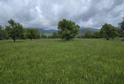 Teren intravilan - 2 minute de centru Prundu Bargaului - ... - 2