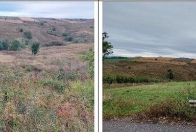 Teren extravilan pasune Ardeoani, ID: R2404618 - 12