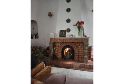 REV2005173 Casa de inchiriat Gradina Icoanei - 17