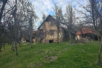 Casă cu 2 camere cu Teren 27263 Mp în Brusturi - 1