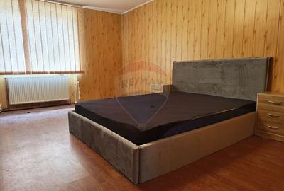 Casă individuală cu 3 camere cu Teren 2175 Mp în Mailat - 22