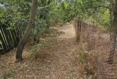 Casă cu 3 camere în Deparați - 10